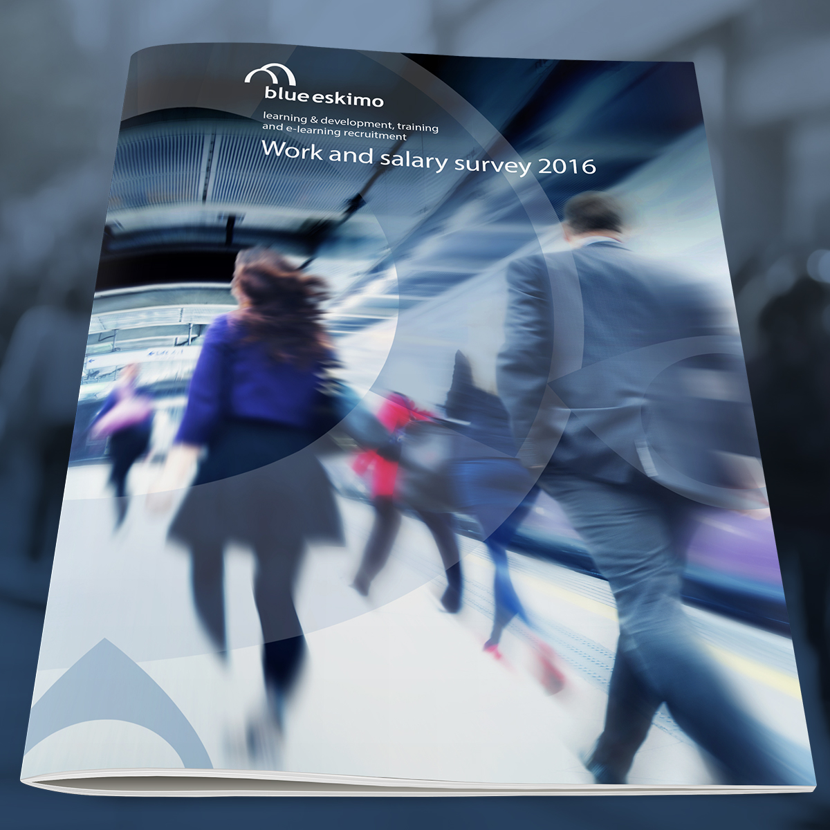Blue Eskimo's work and salary survey